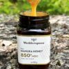Wedderspoon surovi manuka med 850 MGO - odprt lonček